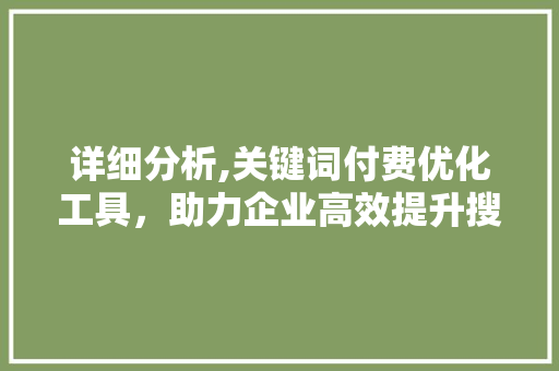详细分析,关键词付费优化工具，助力企业高效提升搜索引擎排名 商务信函