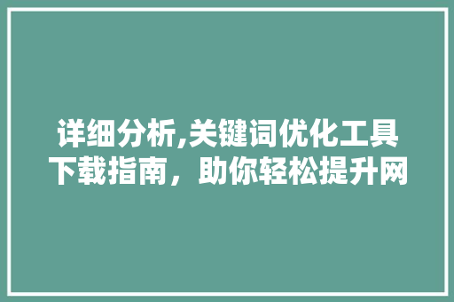 详细分析,关键词优化工具下载指南，助你轻松提升网站排名