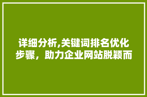 详细分析,关键词排名优化步骤，助力企业网站脱颖而出
