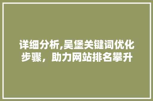 详细分析,吴堡关键词优化步骤，助力网站排名攀升