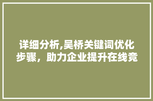 详细分析,吴桥关键词优化步骤，助力企业提升在线竞争力
