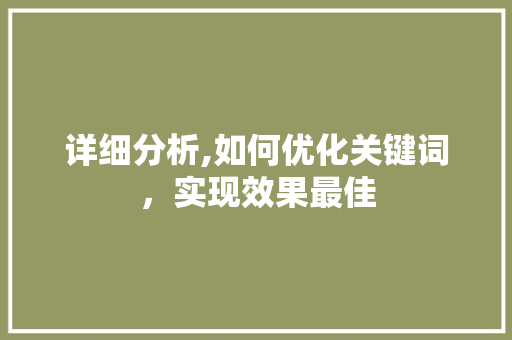 详细分析,如何优化关键词，实现效果最佳