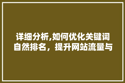 详细分析,如何优化关键词自然排名，提升网站流量与用户粘性