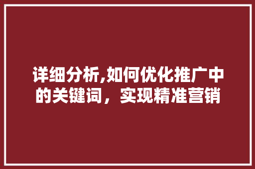 详细分析,如何优化推广中的关键词，实现精准营销
