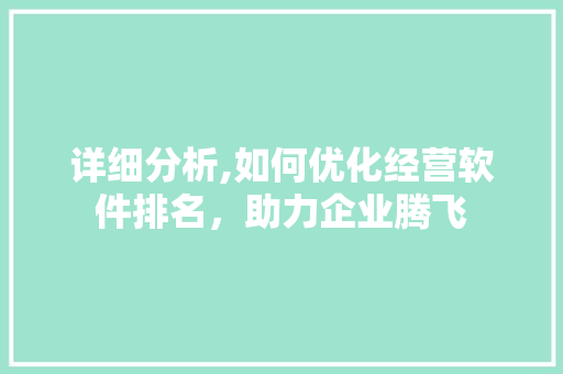 详细分析,如何优化经营软件排名，助力企业腾飞 市场营销范文