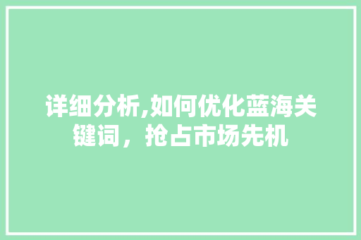 详细分析,如何优化蓝海关键词，抢占市场先机