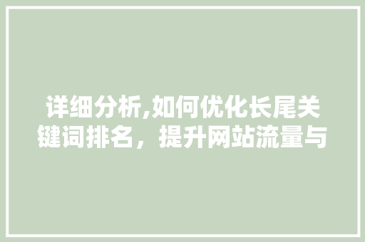 详细分析,如何优化长尾关键词排名，提升网站流量与转化率