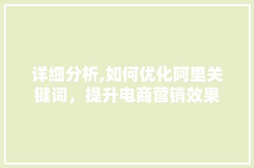 详细分析,如何优化阿里关键词，提升电商营销效果