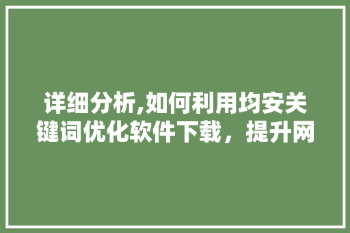 详细分析,如何利用均安关键词优化软件下载，提升网站流量与用户体验