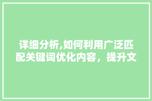 详细分析,如何利用广泛匹配关键词优化内容，提升文章质量