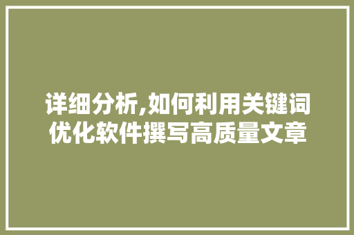 详细分析,如何利用关键词优化软件撰写高质量文章