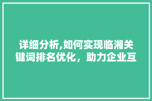 详细分析,如何实现临湘关键词排名优化，助力企业互联网营销