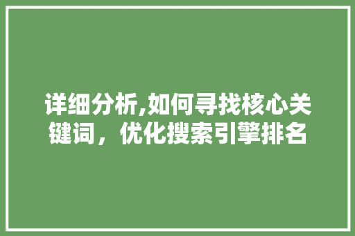 详细分析,如何寻找核心关键词，优化搜索引擎排名