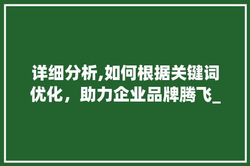 详细分析,如何根据关键词优化，助力企业品牌腾飞_以XX公司为例