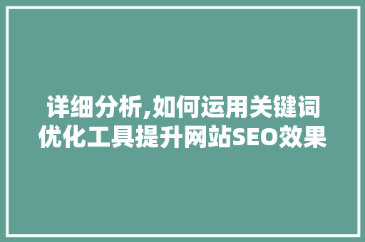 详细分析,如何运用关键词优化工具提升网站SEO效果