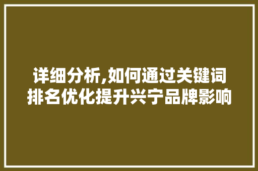 详细分析,如何通过关键词排名优化提升兴宁品牌影响力