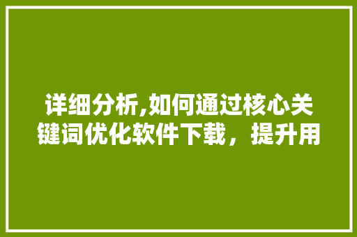 详细分析,如何通过核心关键词优化软件下载，提升用户体验与转化率