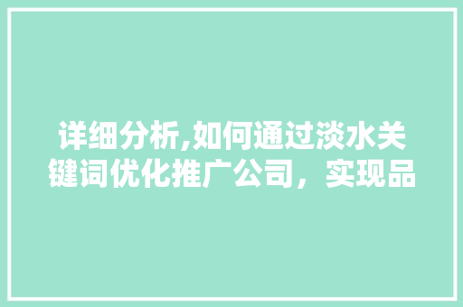 详细分析,如何通过淡水关键词优化推广公司，实现品牌价值最大化 项目报告