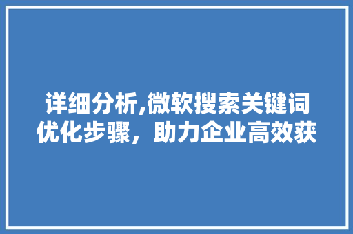 详细分析,微软搜索关键词优化步骤，助力企业高效获客