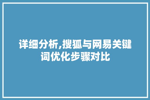 详细分析,搜狐与网易关键词优化步骤对比
