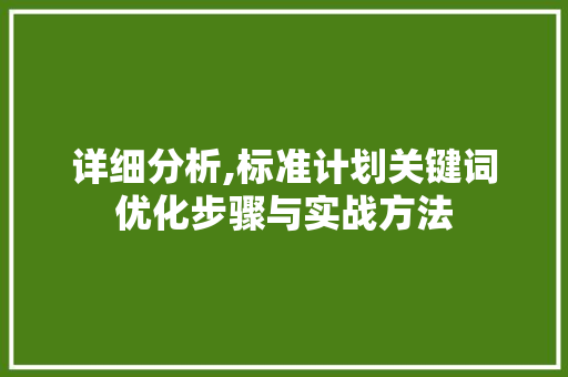 详细分析,标准计划关键词优化步骤与实战方法