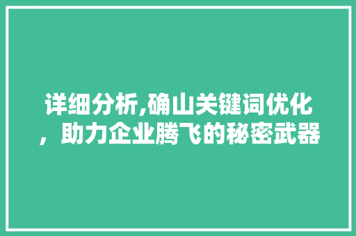详细分析,确山关键词优化，助力企业腾飞的秘密武器