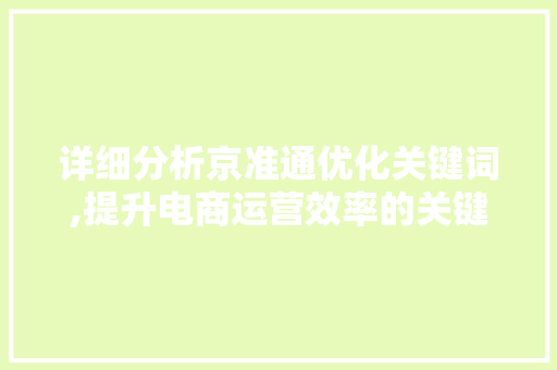 详细分析京准通优化关键词,提升电商运营效率的关键步骤