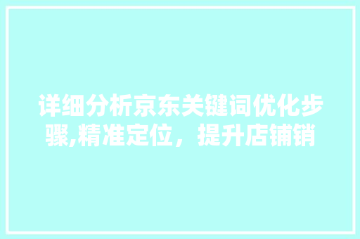 详细分析京东关键词优化步骤,精准定位，提升店铺销量