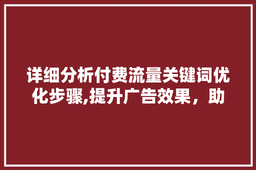 详细分析付费流量关键词优化步骤,提升广告效果，助力企业腾飞