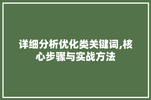 详细分析优化类关键词,核心步骤与实战方法