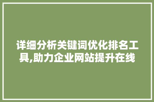 详细分析关键词优化排名工具,助力企业网站提升在线曝光率