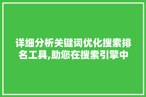 详细分析关键词优化搜索排名工具,助您在搜索引擎中脱颖而出