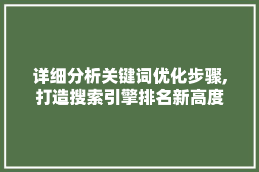 详细分析关键词优化步骤,打造搜索引擎排名新高度