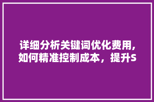 详细分析关键词优化费用,如何精准控制成本，提升SEO效果