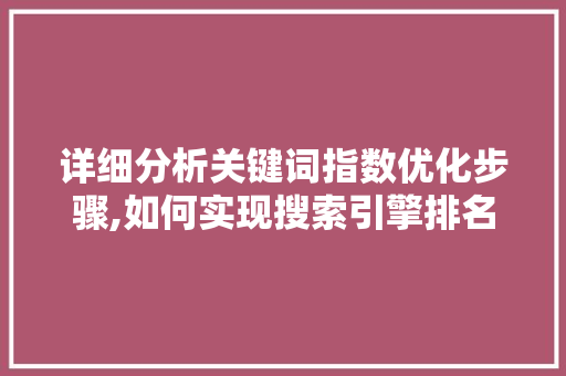 详细分析关键词指数优化步骤,如何实现搜索引擎排名提升