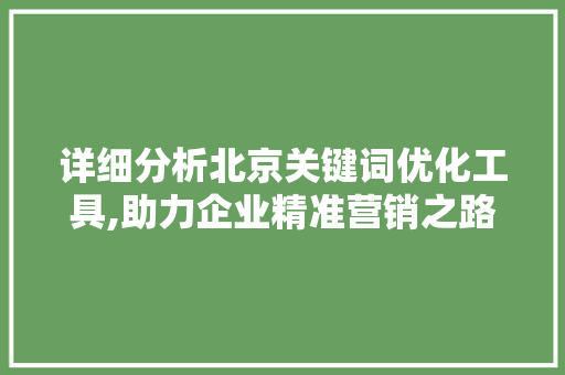 详细分析北京关键词优化工具,助力企业精准营销之路
