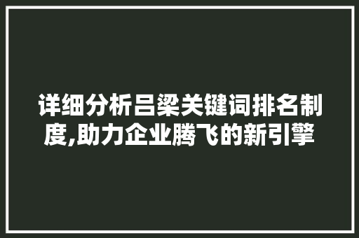详细分析吕梁关键词排名制度,助力企业腾飞的新引擎 MySQL