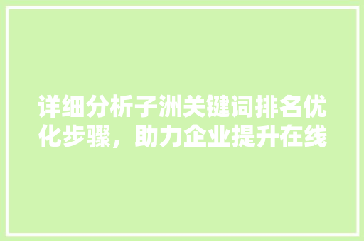 详细分析子洲关键词排名优化步骤，助力企业提升在线影响力