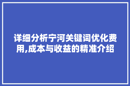 详细分析宁河关键词优化费用,成本与收益的精准介绍