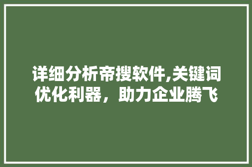 详细分析帝搜软件,关键词优化利器，助力企业腾飞