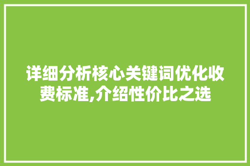 详细分析核心关键词优化收费标准,介绍性价比之选