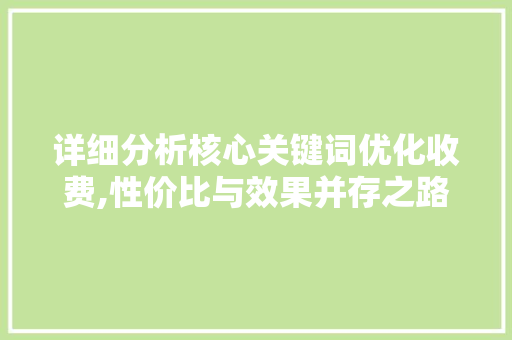详细分析核心关键词优化收费,性价比与效果并存之路