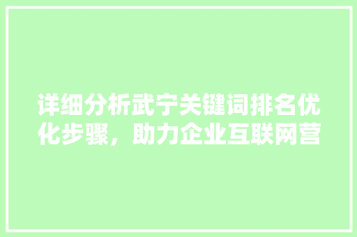 详细分析武宁关键词排名优化步骤，助力企业互联网营销