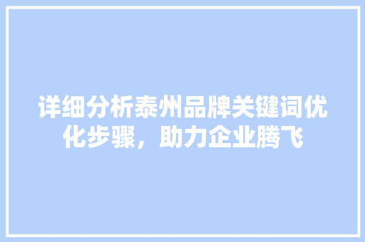 详细分析泰州品牌关键词优化步骤，助力企业腾飞