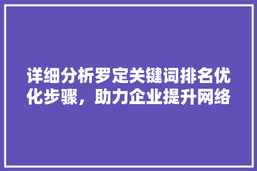 详细分析罗定关键词排名优化步骤，助力企业提升网络竞争力