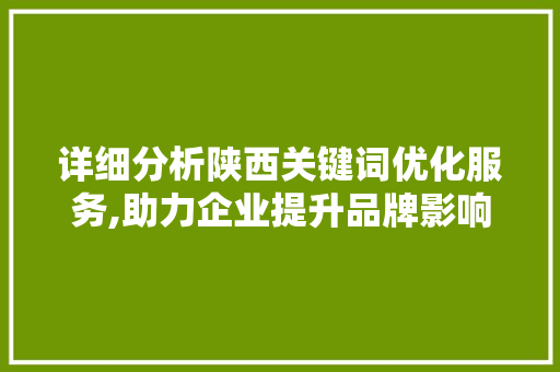 详细分析陕西关键词优化服务,助力企业提升品牌影响力