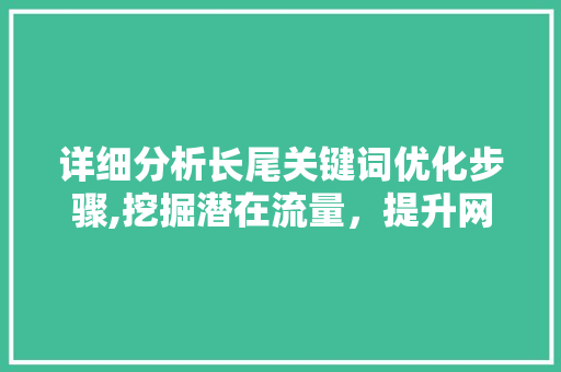 详细分析长尾关键词优化步骤,挖掘潜在流量，提升网站SEO效果