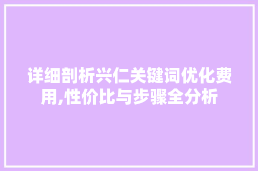 详细剖析兴仁关键词优化费用,性价比与步骤全分析 商务信函