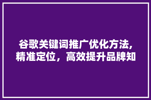 谷歌关键词推广优化方法,精准定位，高效提升品牌知名度