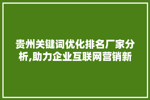 贵州关键词优化排名厂家分析,助力企业互联网营销新篇章